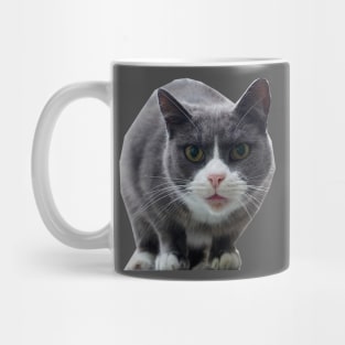 Midnight the Cat Mug